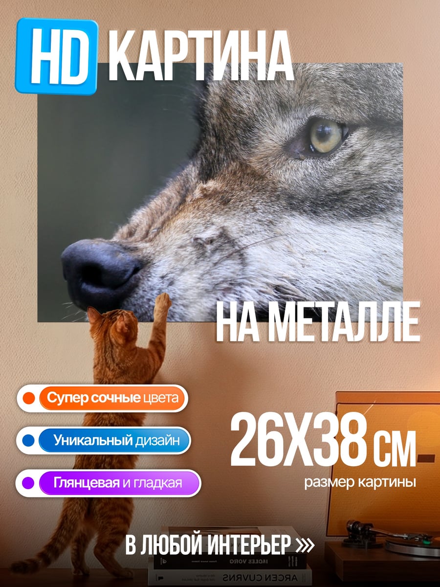 Картина на металле Злой волк