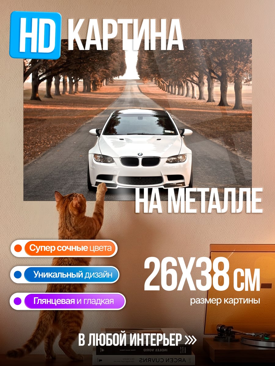 Картина на металле Белая машина на дороге