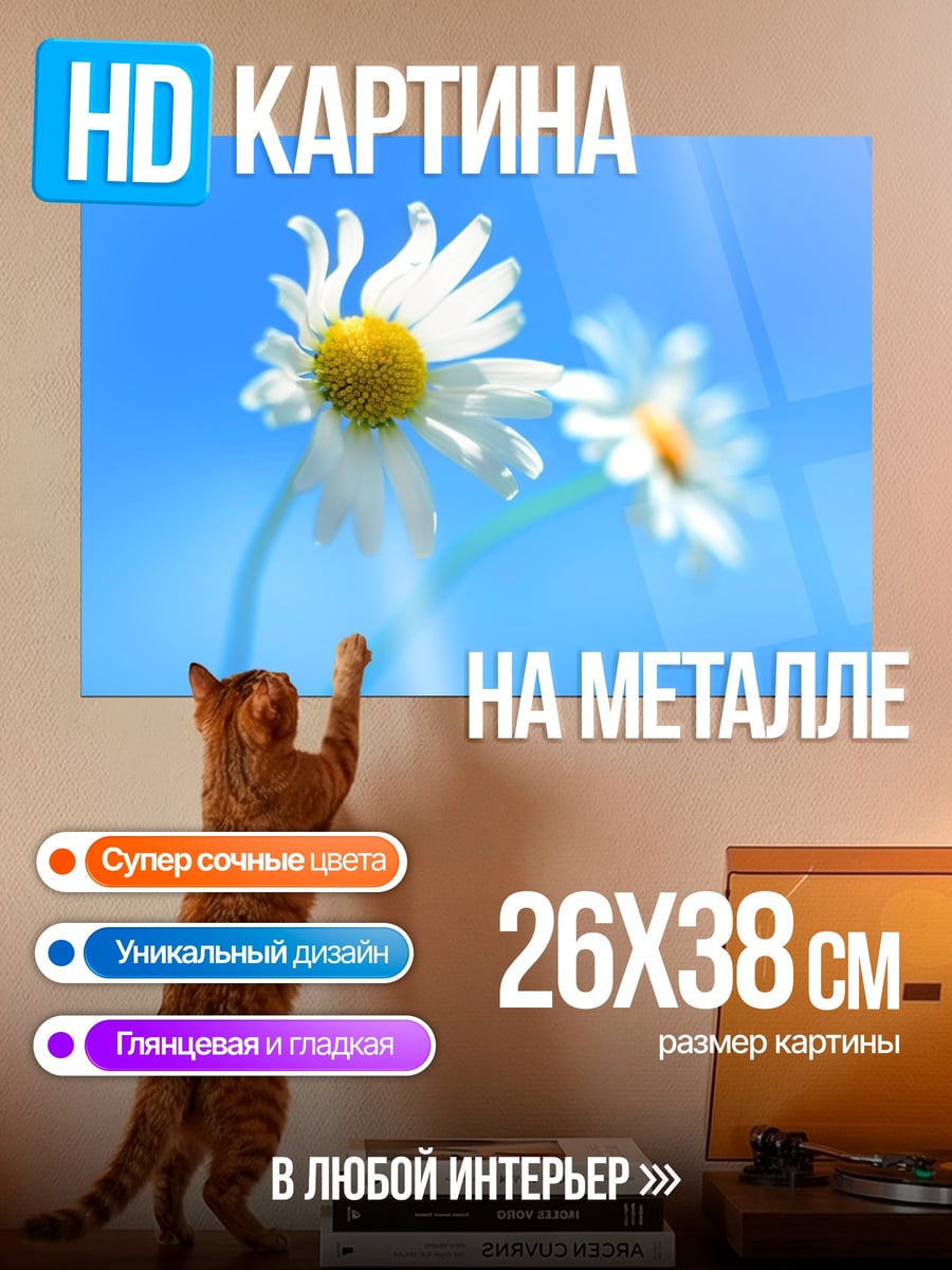 Картина на металле ромашки на синем фоне