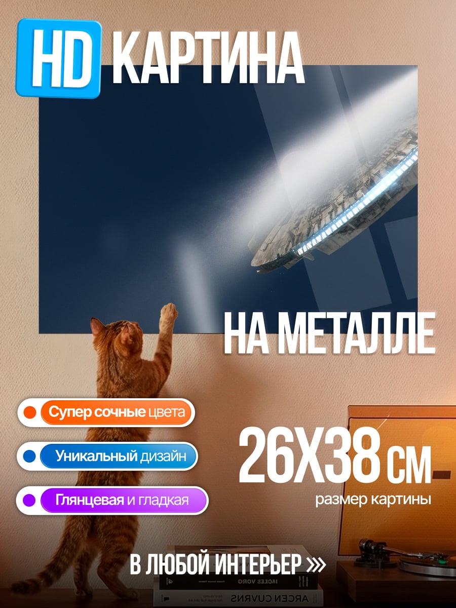 Картина на металле Космический корабль