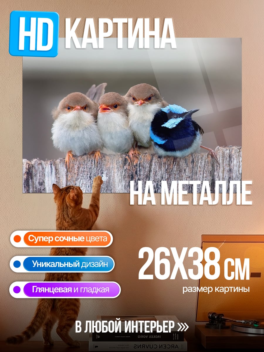 Картина на металле Четыре птички
