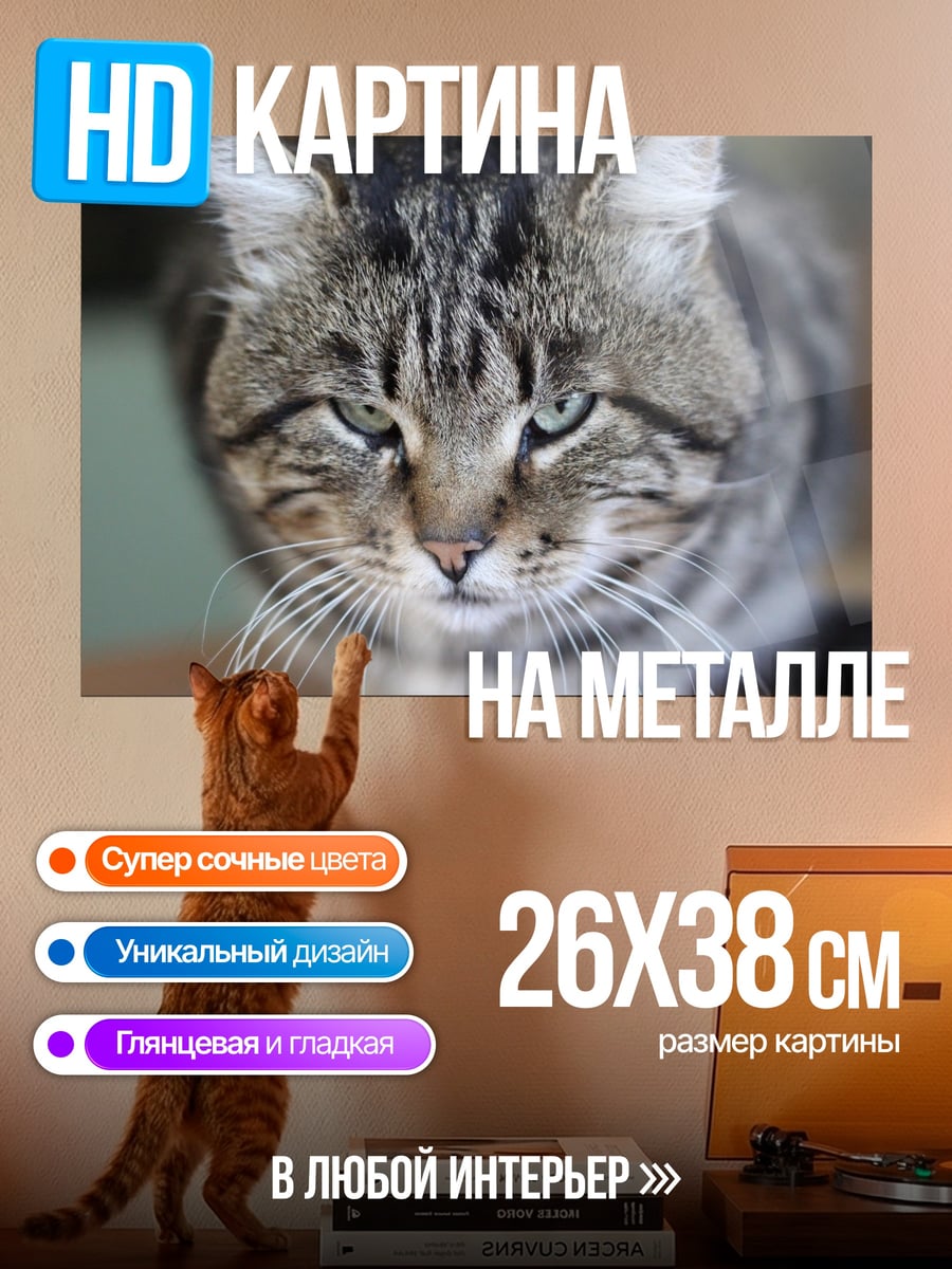 Картина на металле Кот с зелеными глазами
