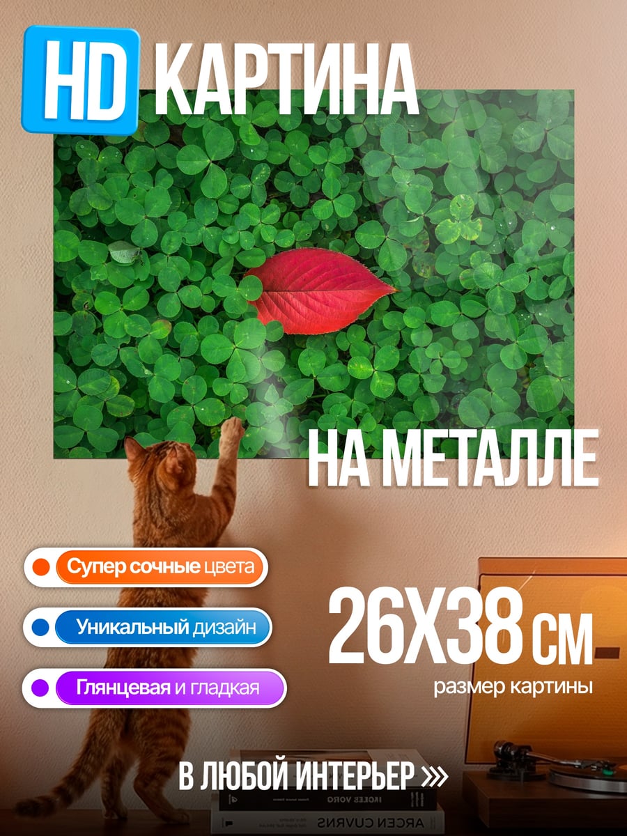 Картина на металле Красный лист клевера