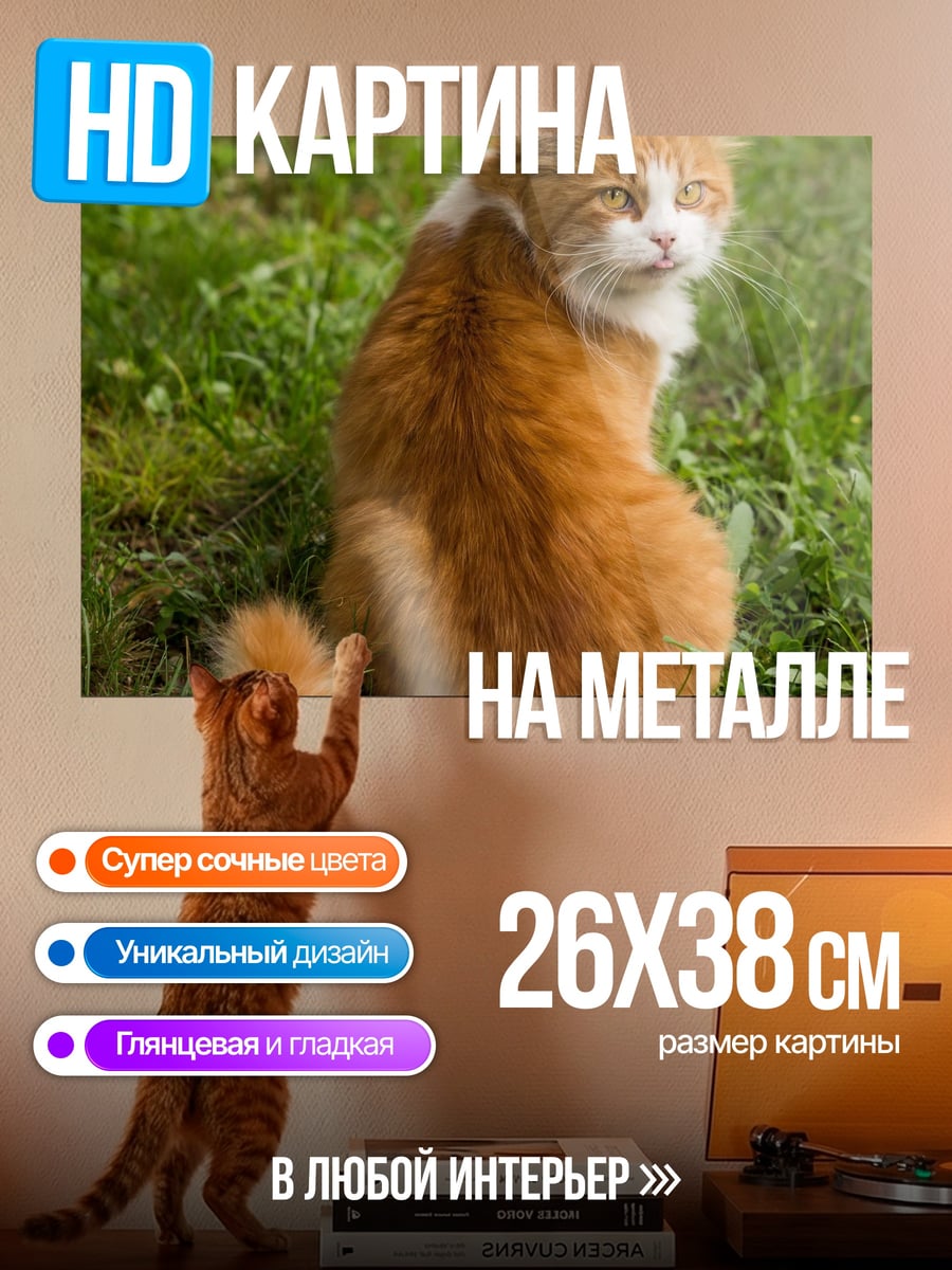 Картина на металле Рыжий кот на траве