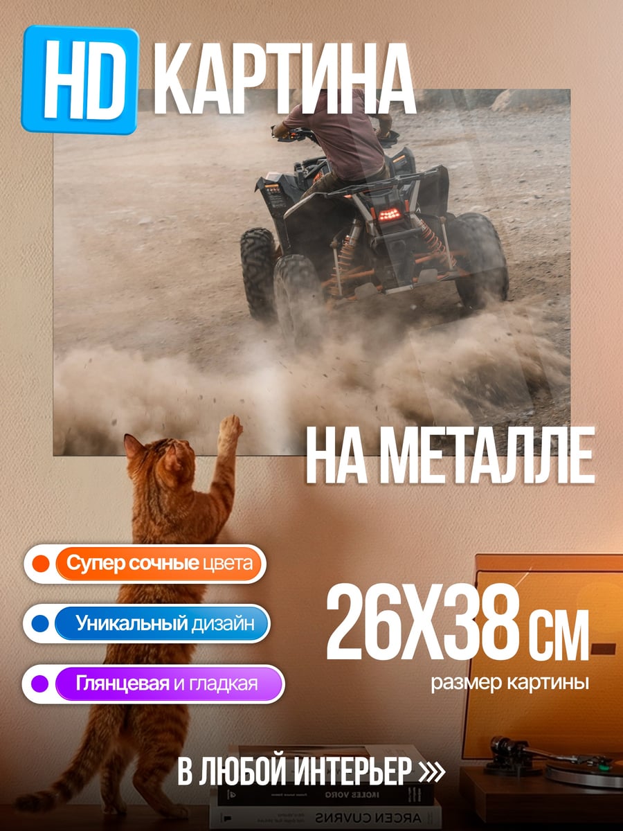 Картина на металле Квадроцикл в пыли