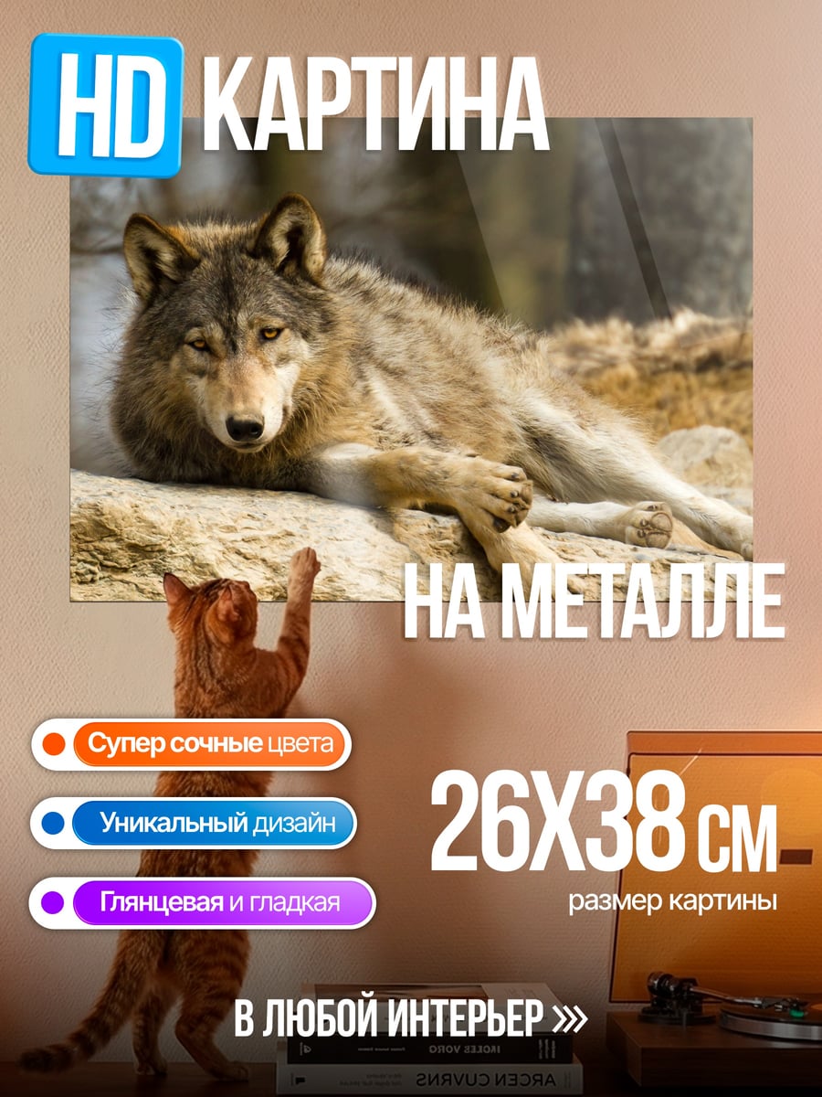 Картина на металле Лежащий волк