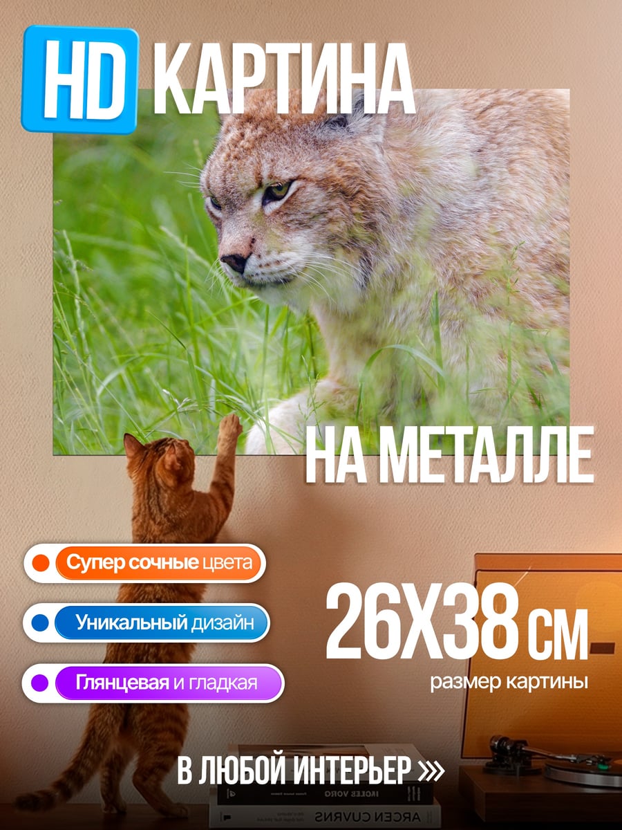 Картина на металле Рысь в траве