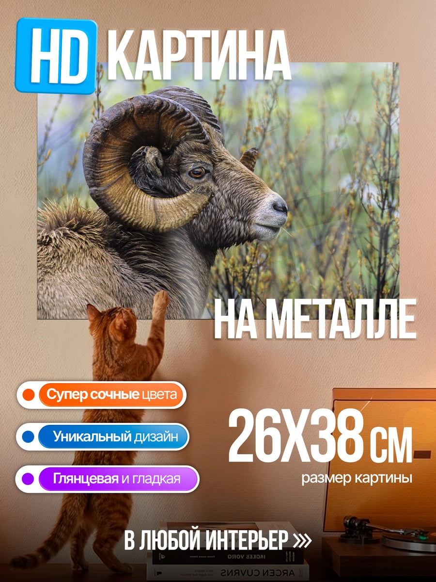 Картина на металле Баран с рогами