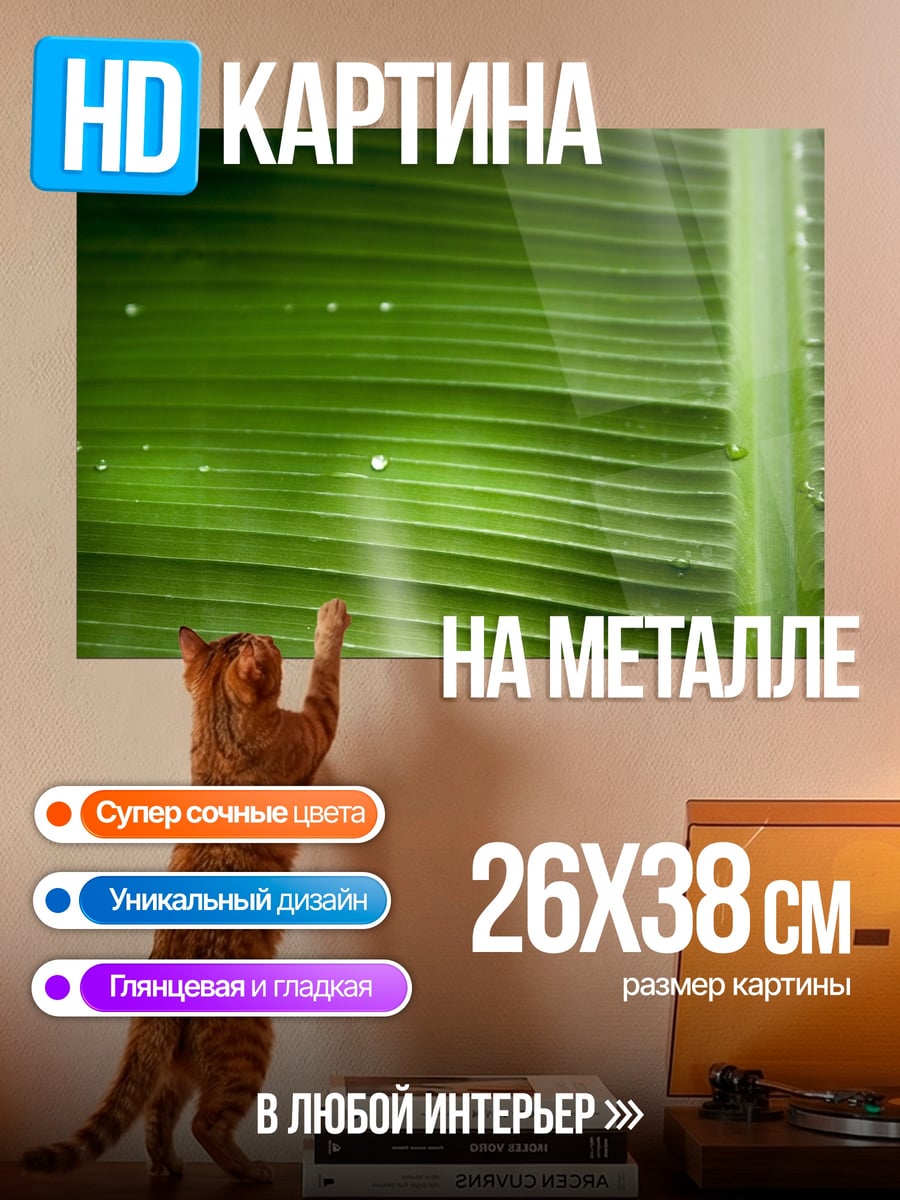 Картина на металле Крупный план листа
