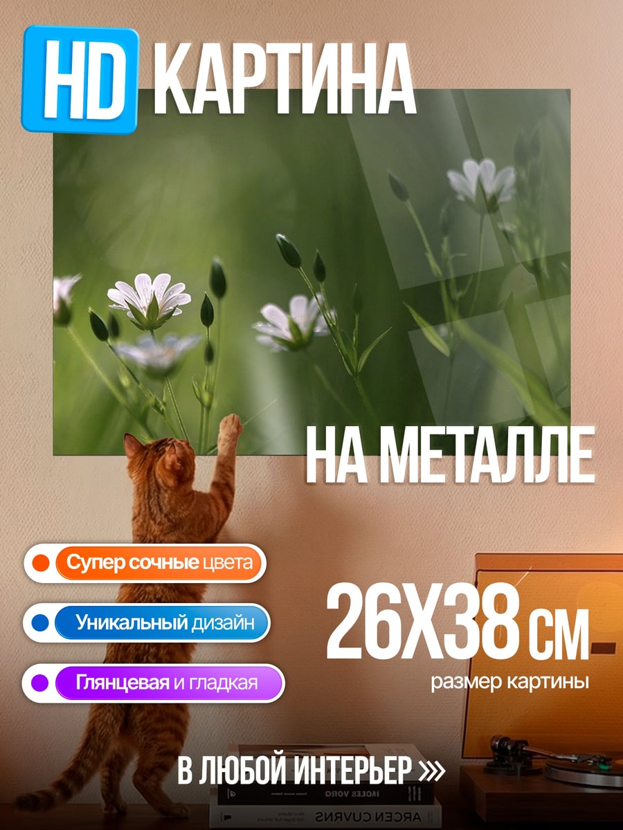 Картина на металле Полевые цветы в траве
