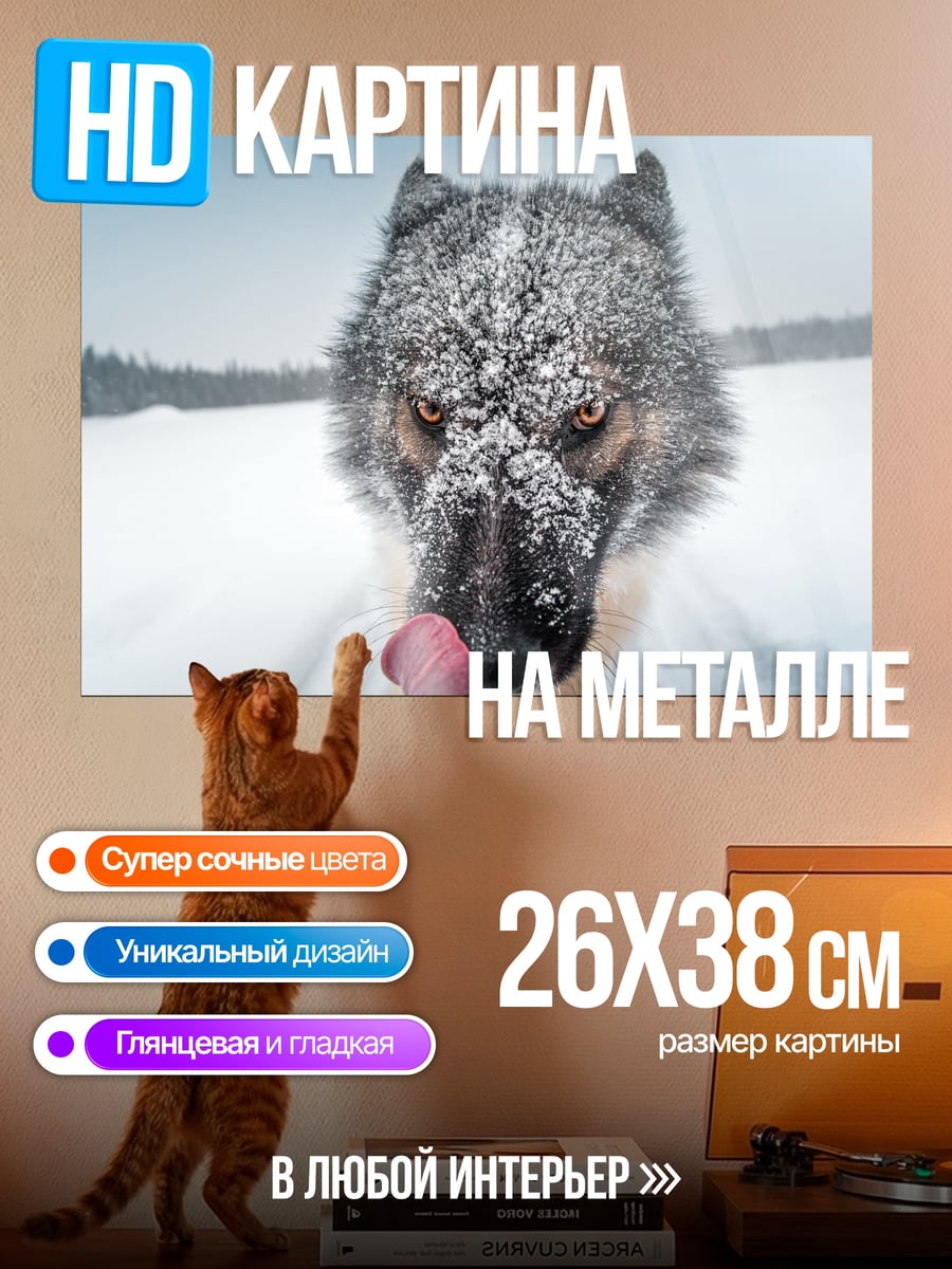 Картина на металле Зимний волк