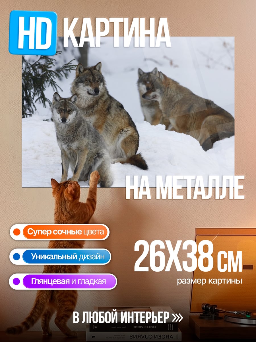 Картина на металле Волки в снегу