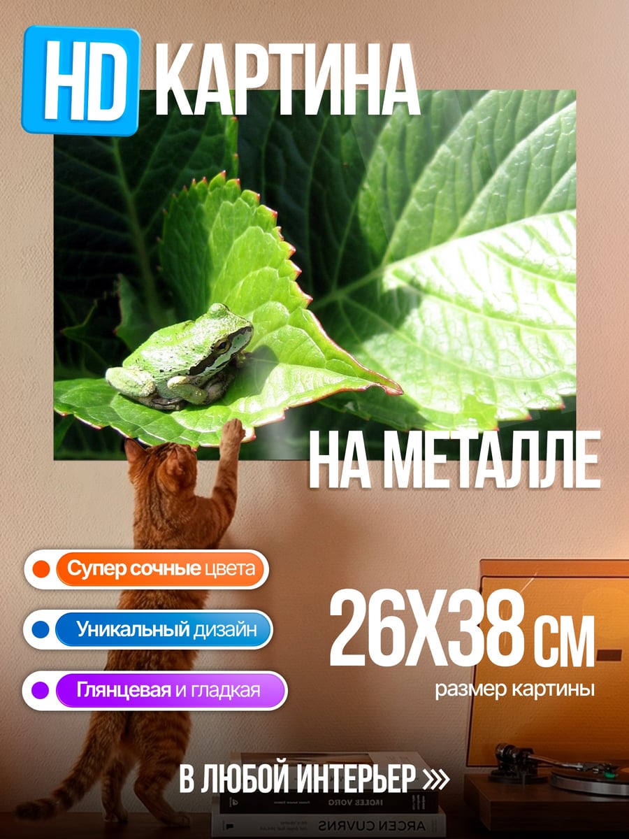 Картина на металле Лягушка на листе