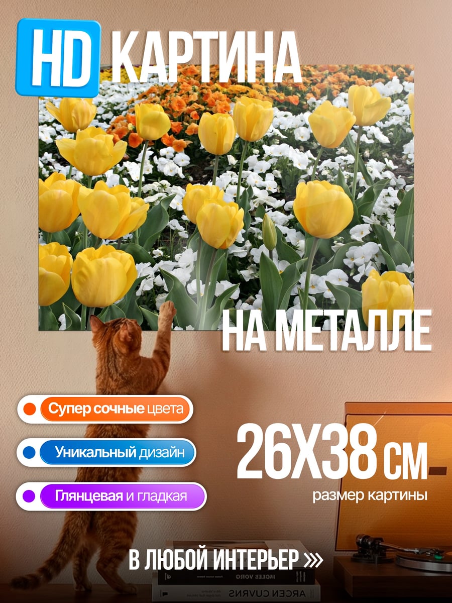 Картина на металле Желтые тюльпаны на клумбе