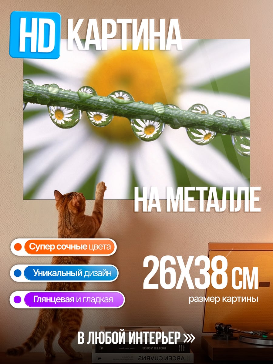 Картина на металле капли росы