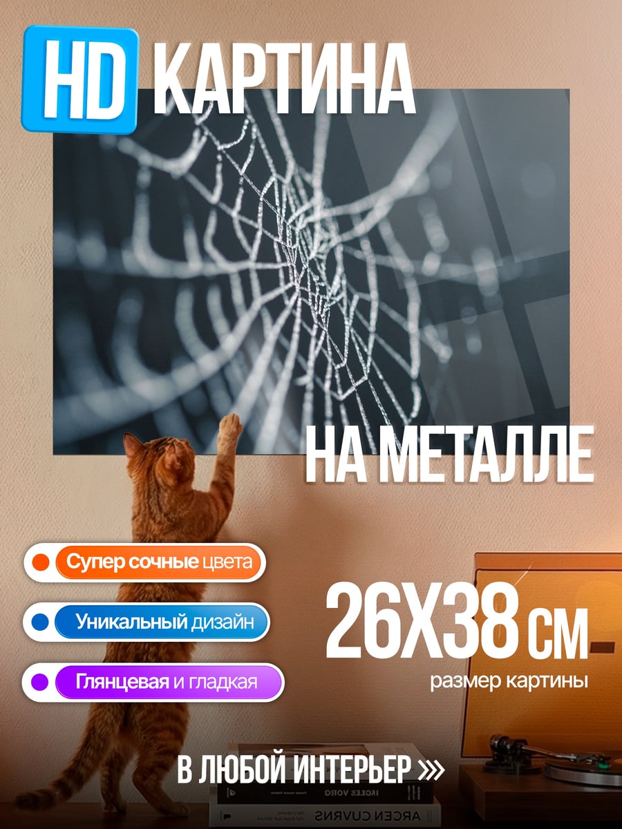 Картина на металле Паутина крупным планом