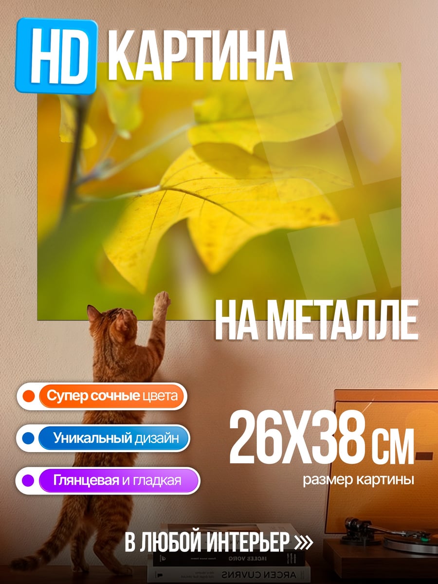 Картина на металле Желтые осенние листья