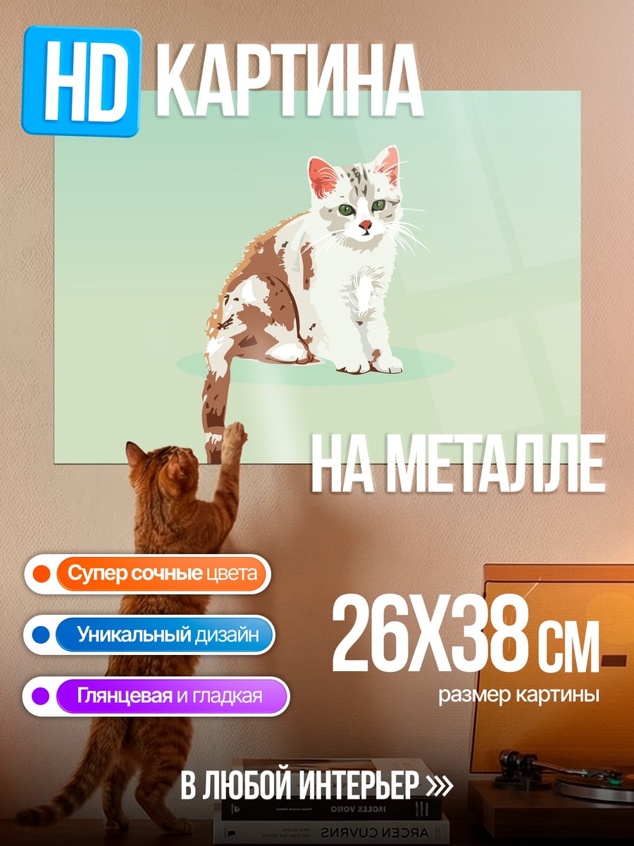 Картина на металле Сидящий котенок