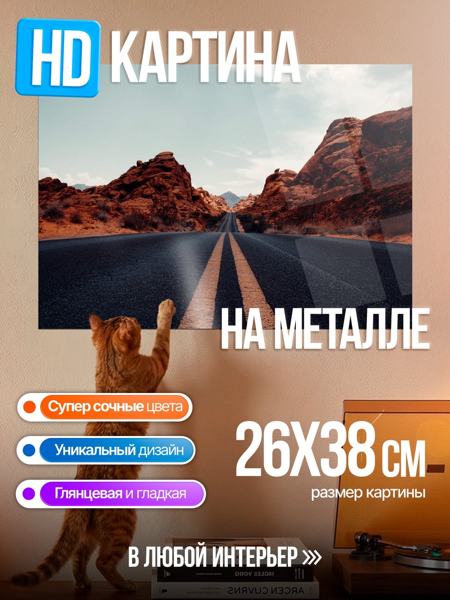 Картина на металле Пустынная Дорога Горы