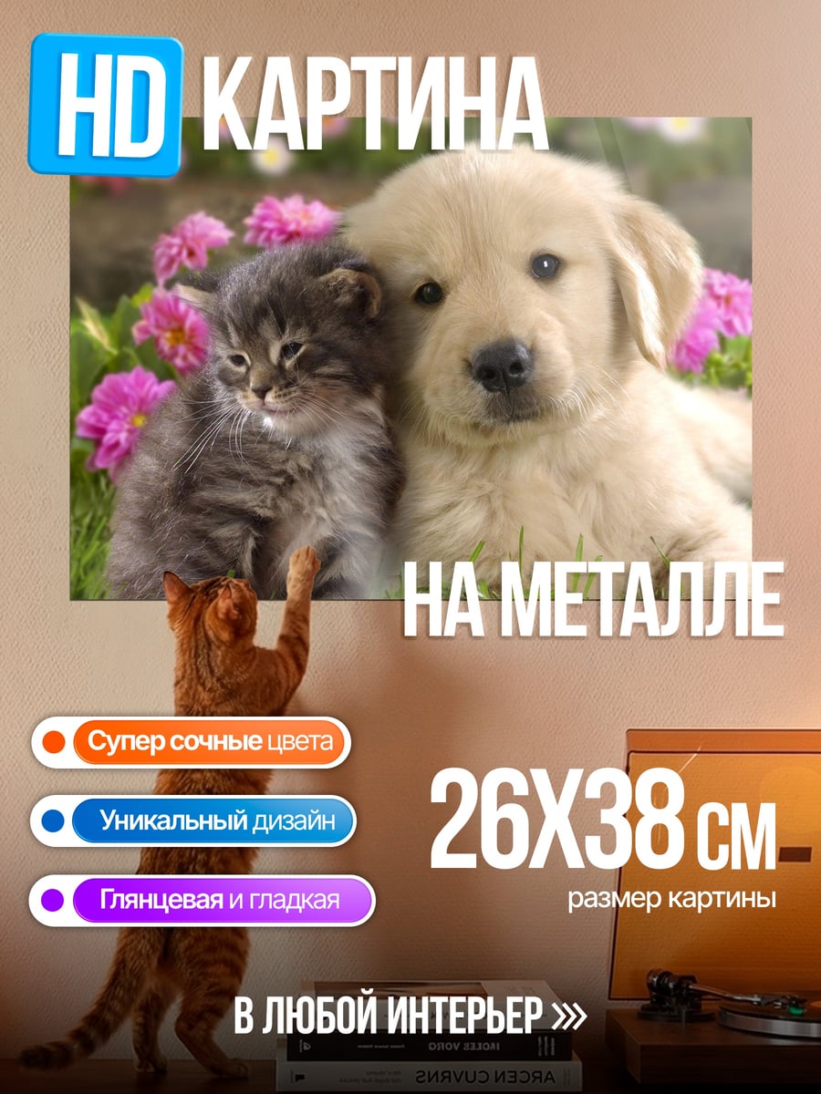 Картина на металле Щенок и Котенок