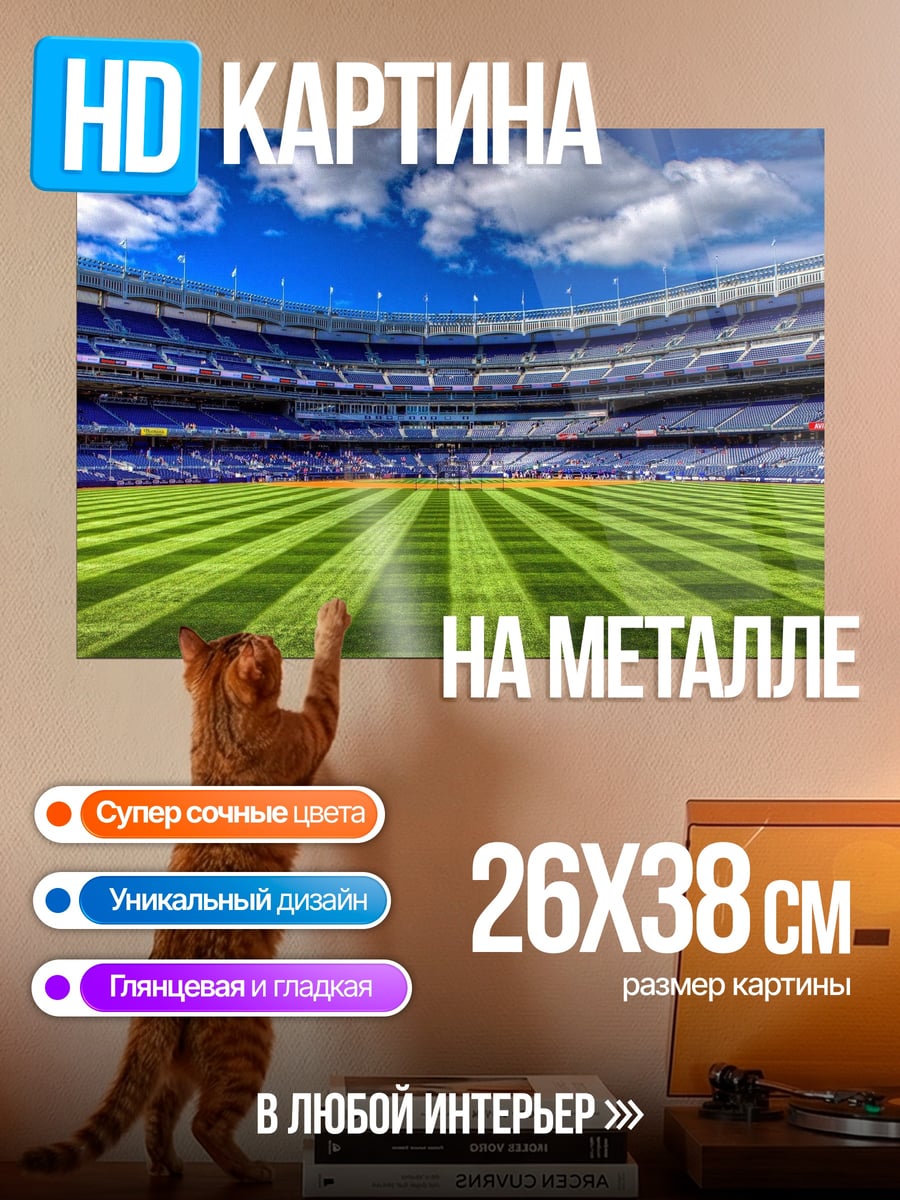 Картина на металле Пустой стадион