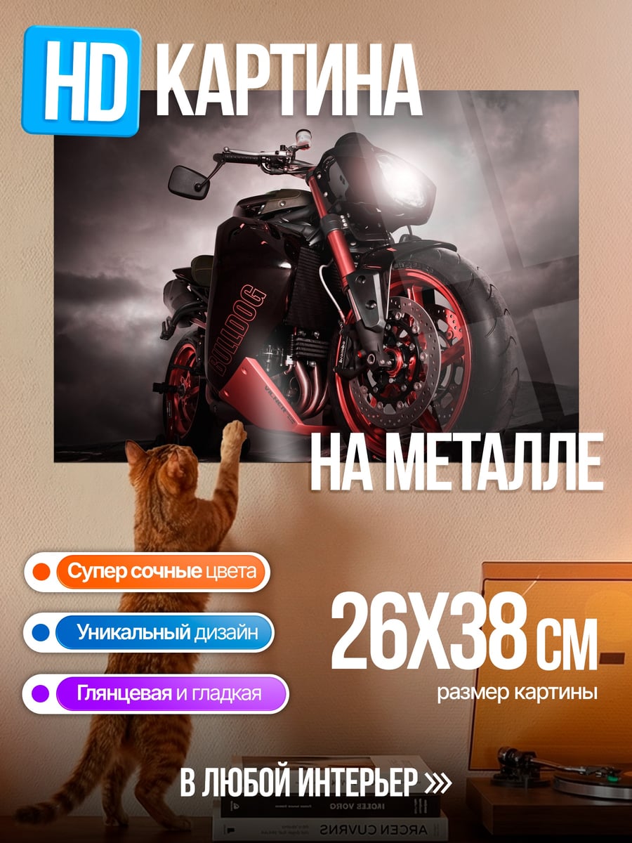 Картина на металле Мощный мотоцикл