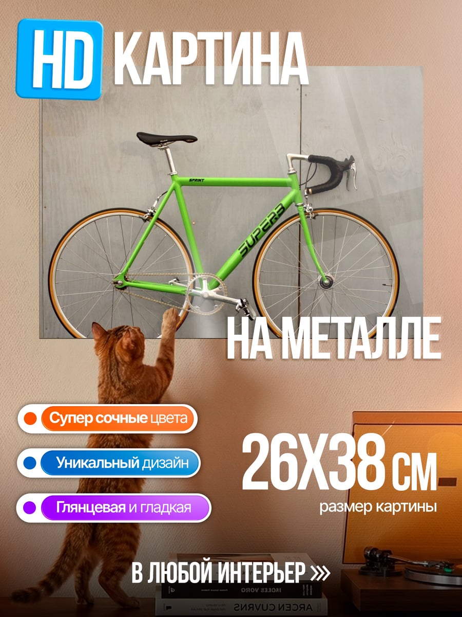 Картина на металле зеленый велосипед