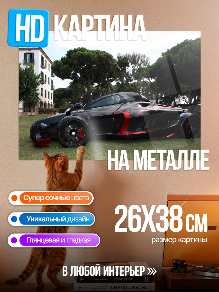 Картина на металле Спортивный автомобиль на траве