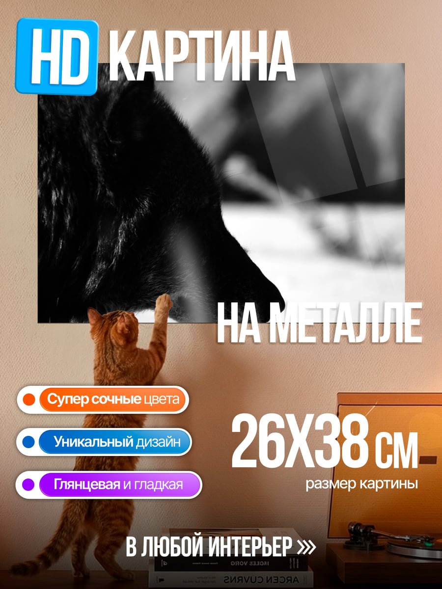 Картина на металле Черный волк