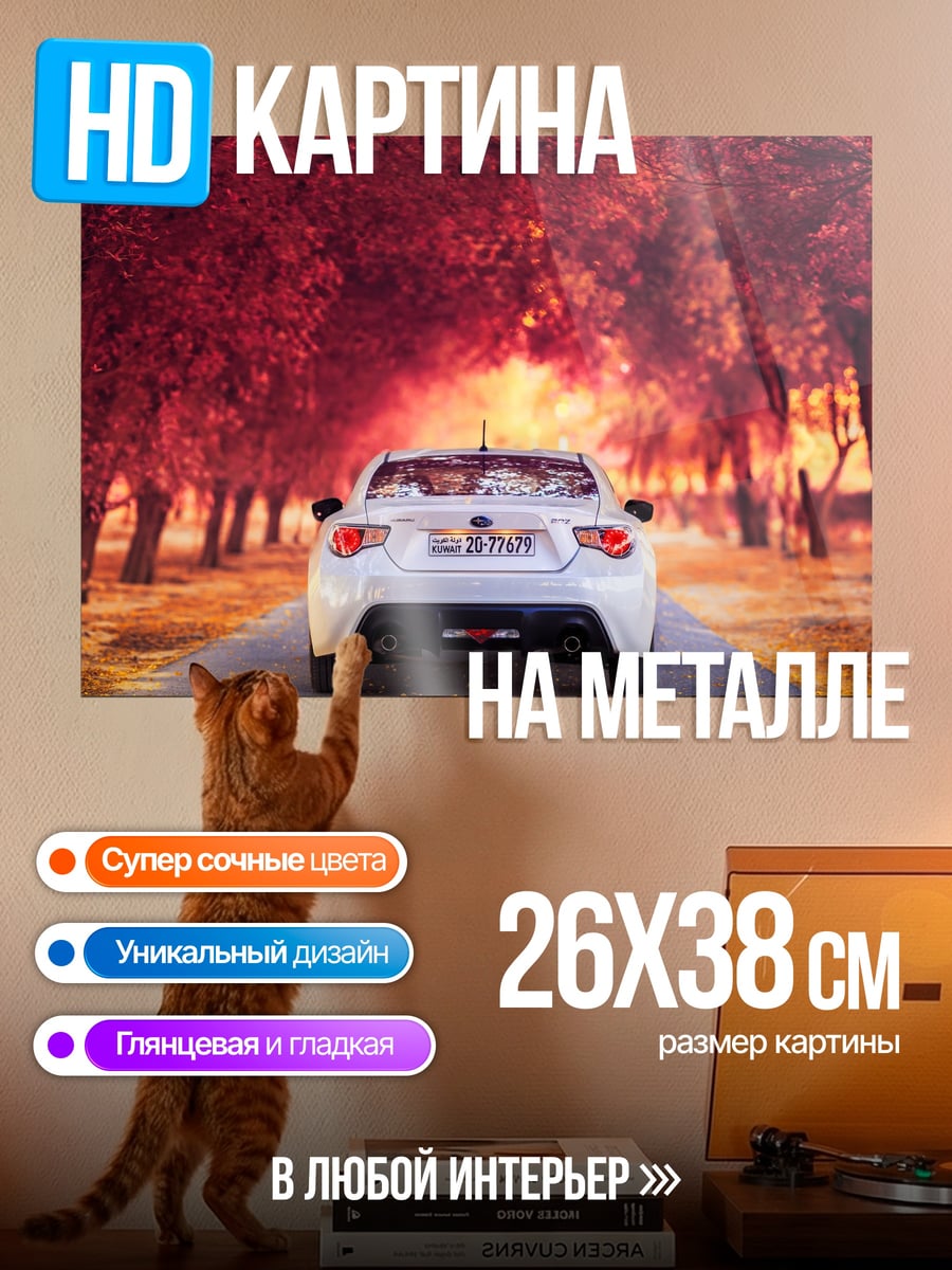 Картина на металле Белая машина