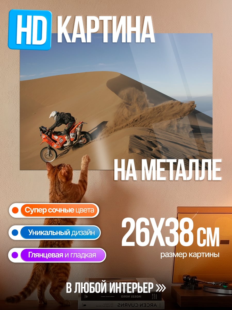 Картина на металле Мотоциклист в пустыне