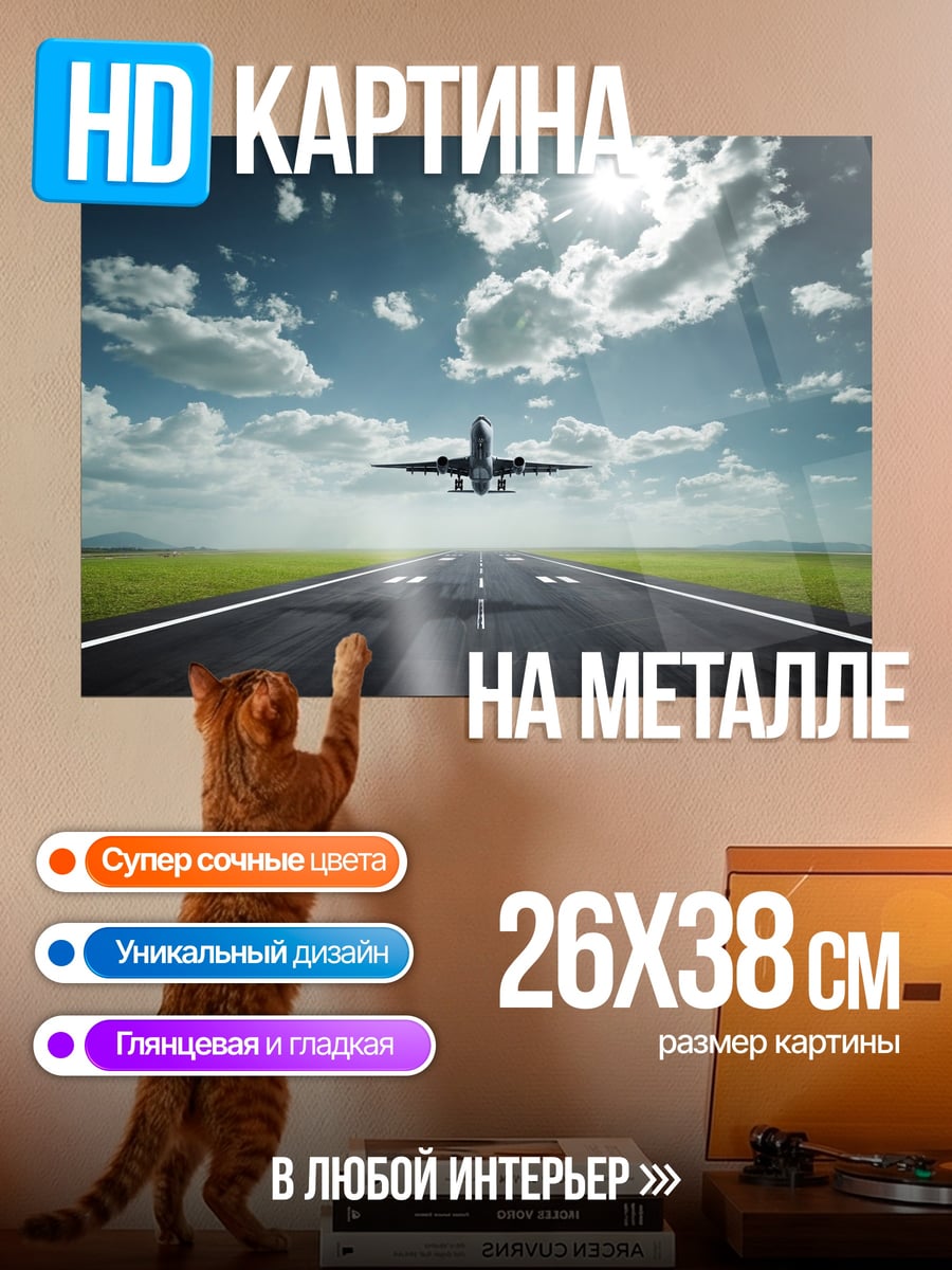 Картина на металле Самолет взлетает