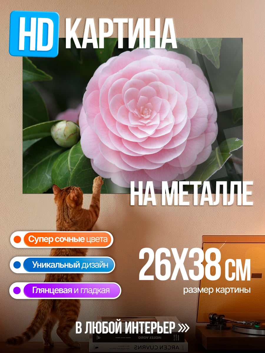 Картина на металле Розовая камелия цветок