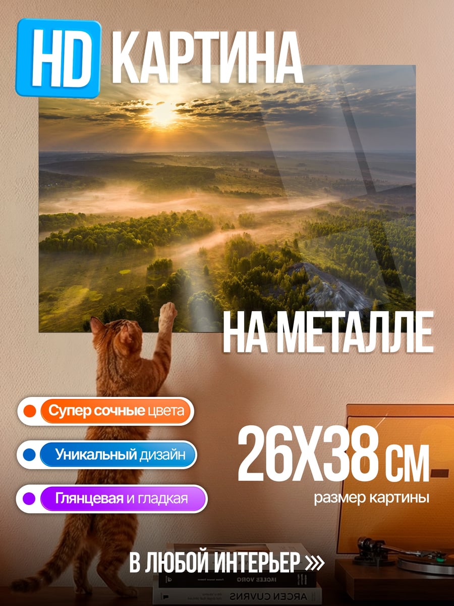 Картина на металле Туманное утро над лесом