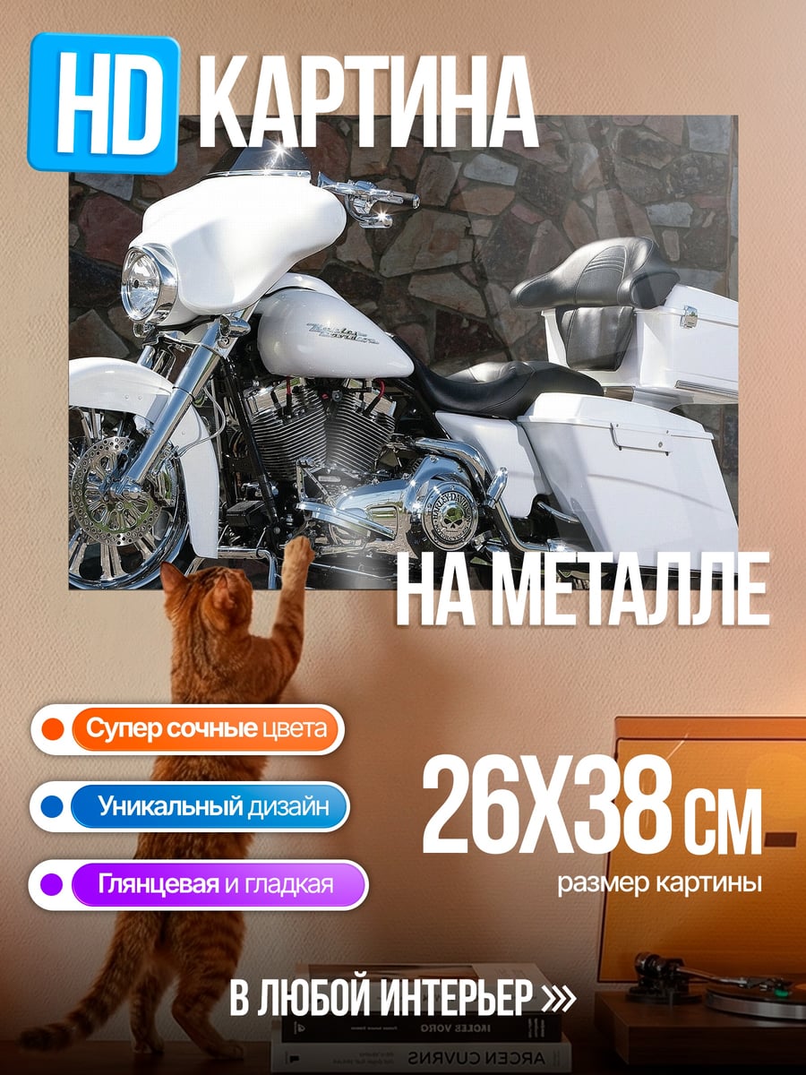 Картина на металле Белый мотоцикл Harley