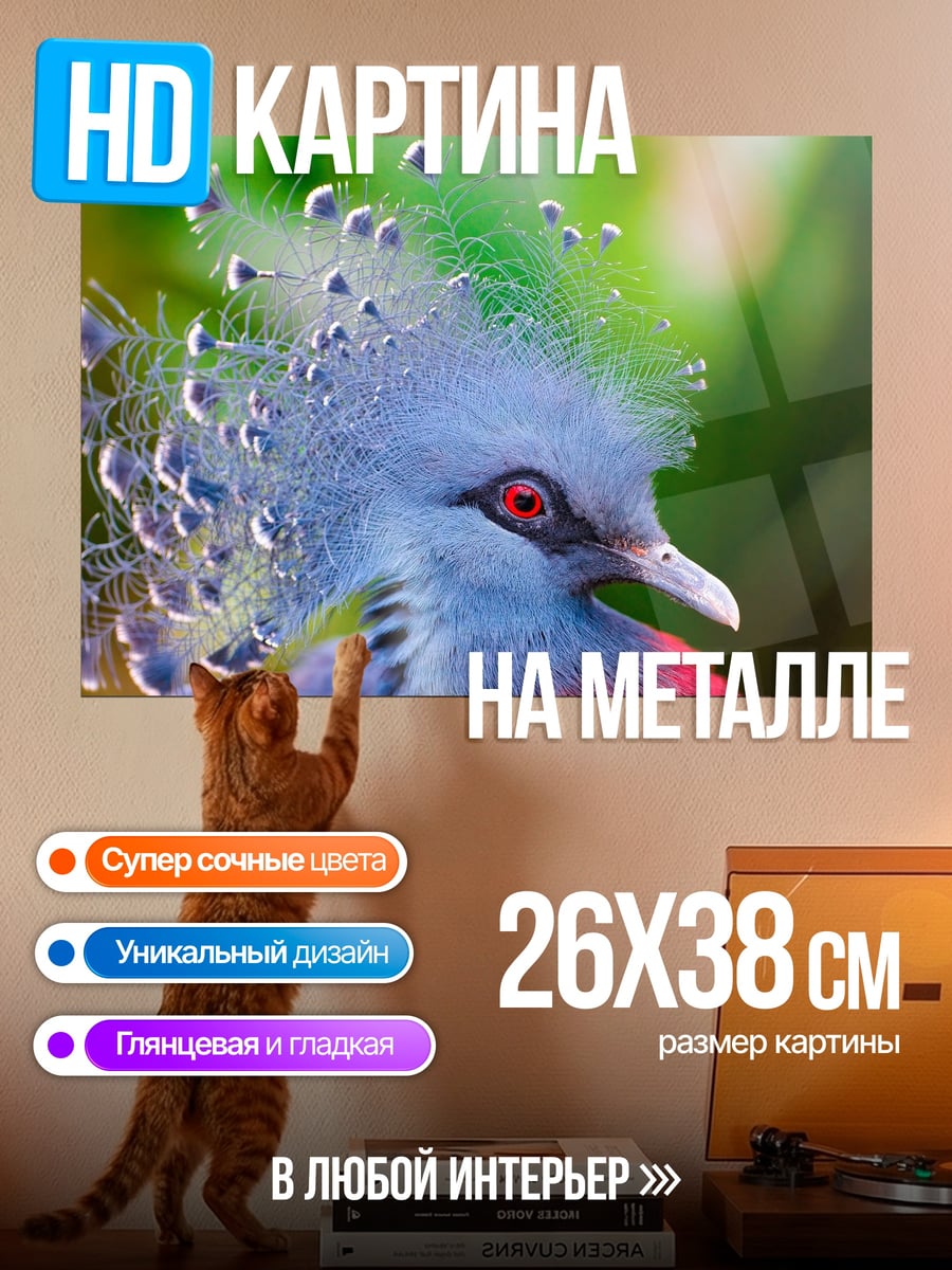 Картина на металле голубой голубь
