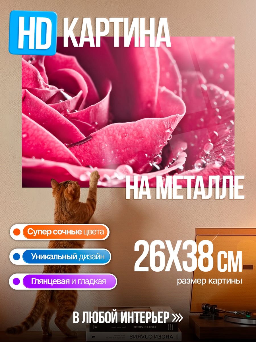 Картина на металле Красная роза с каплями