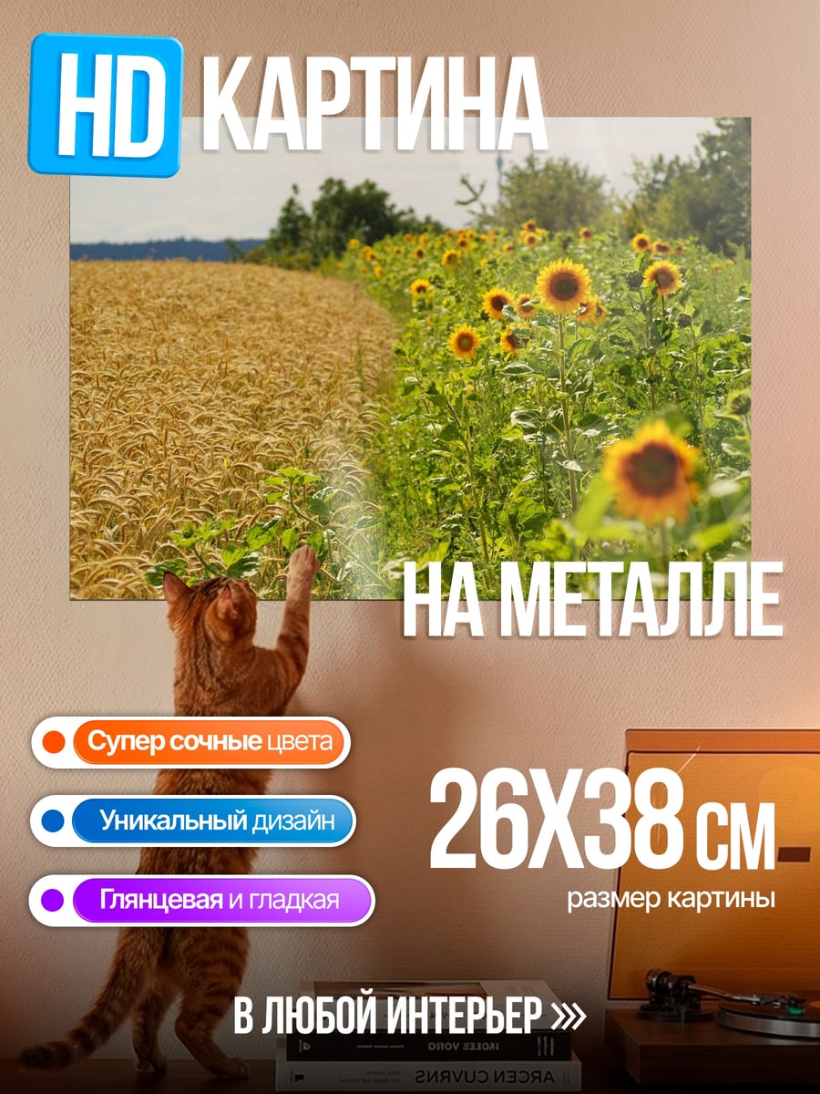 Картина на металле Поле подсолнухов и пшеницы