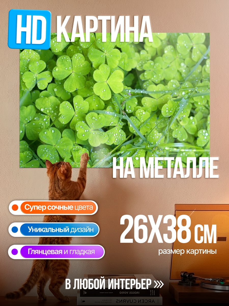 Картина на металле зеленый клевер капли