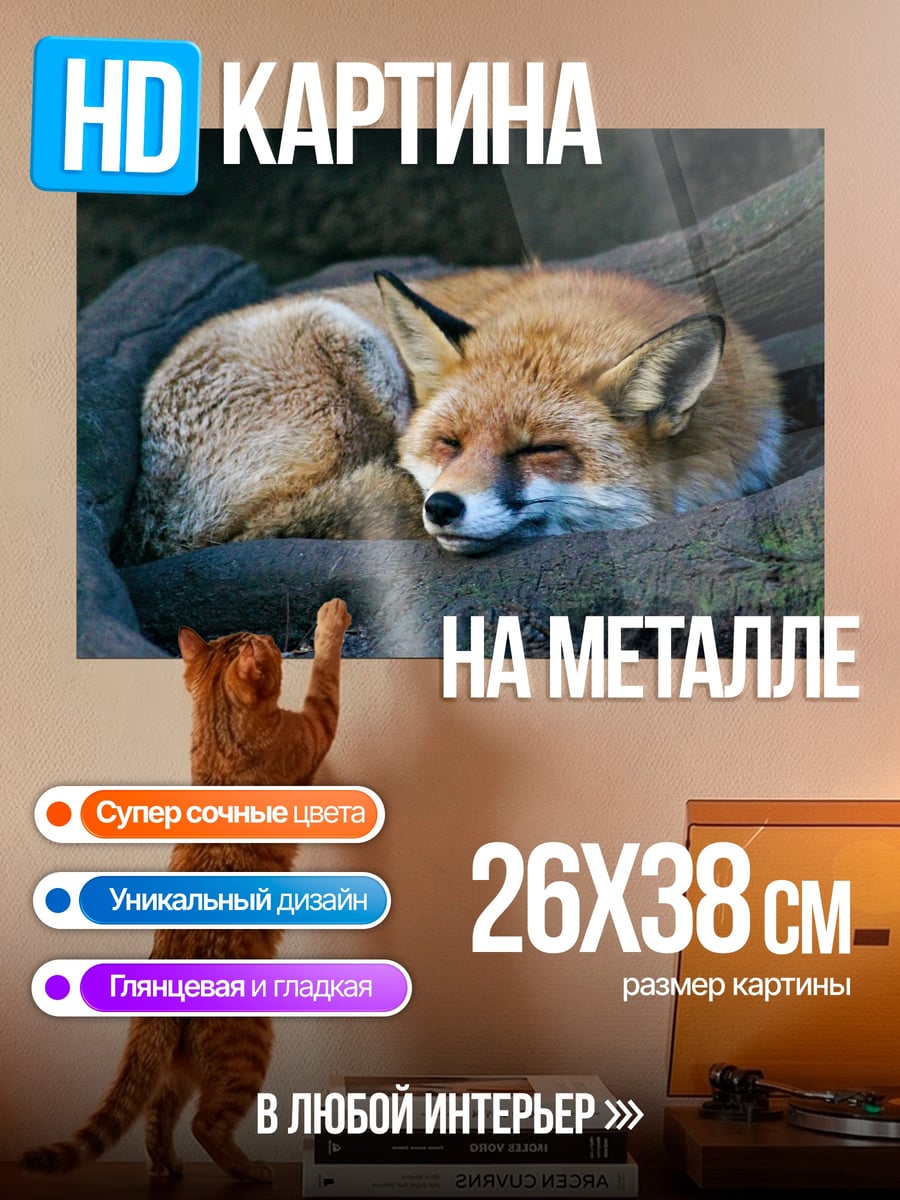 Картина на металле спящая лиса