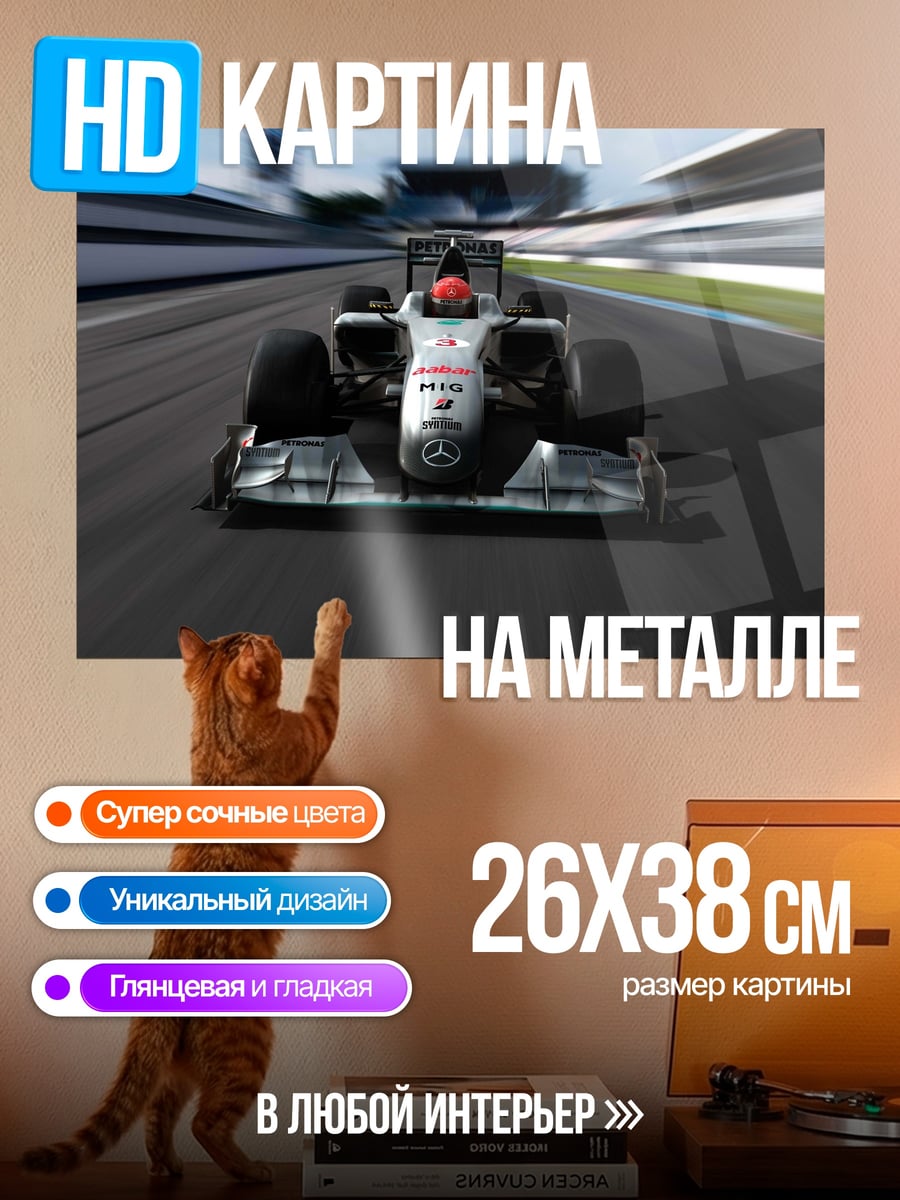 Картина на металле Формула 1 гонка