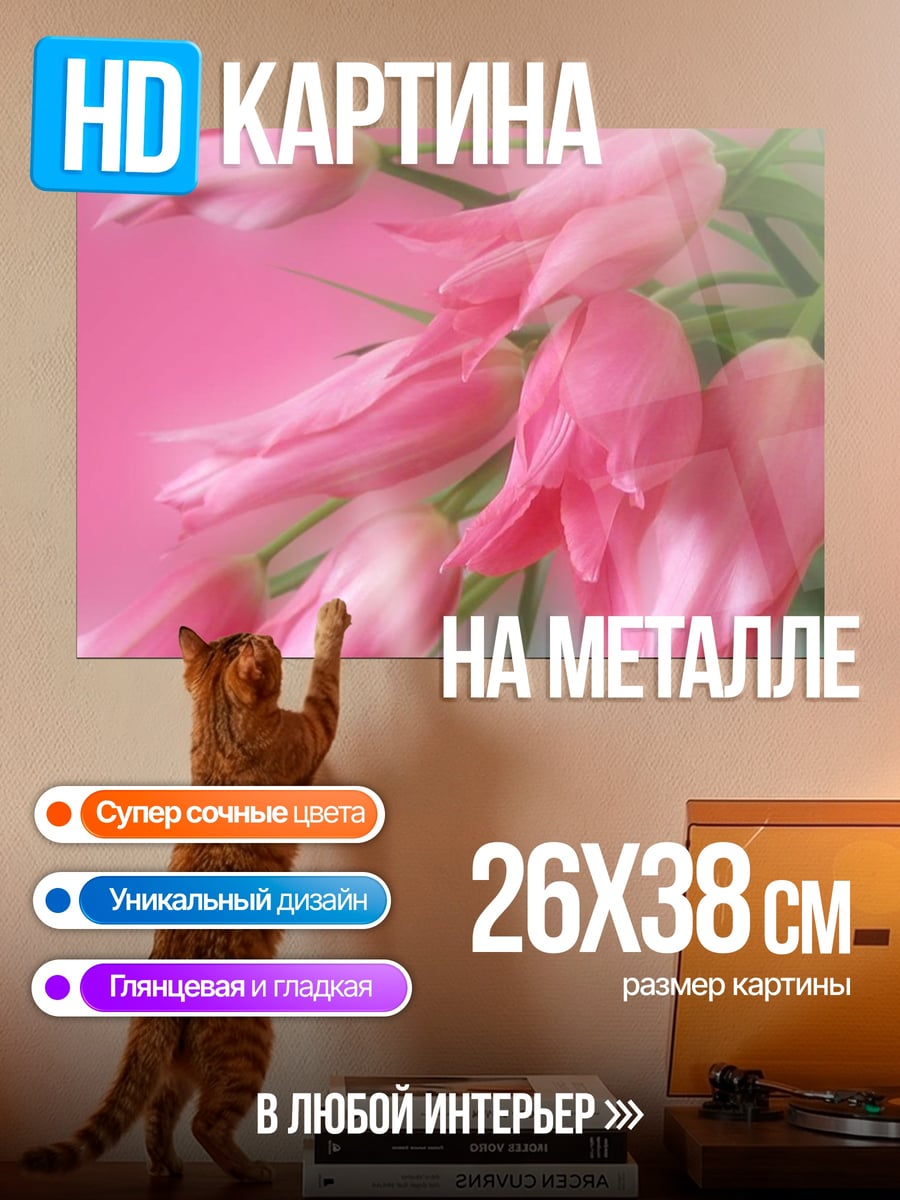 Картина на металле Розовые тюльпаны крупно