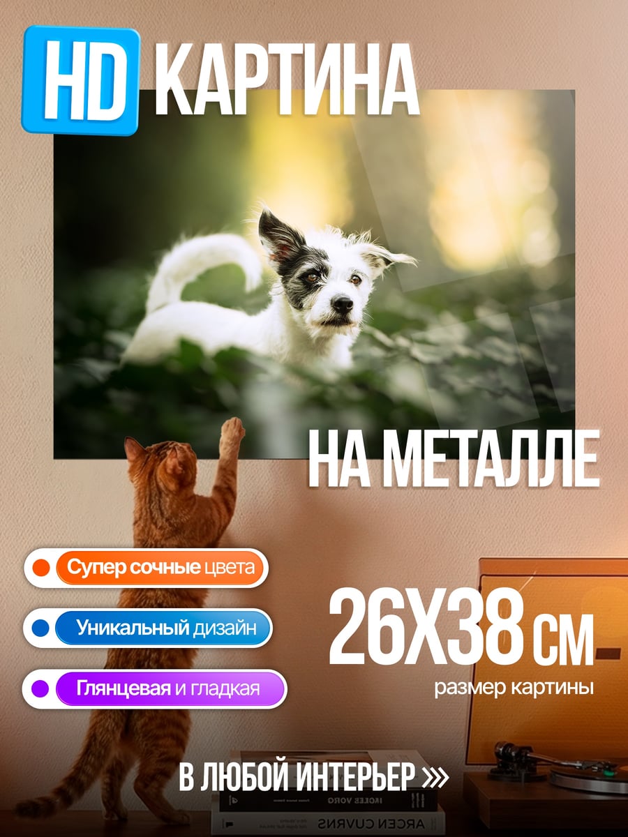 Картина на металле Собака в лесу