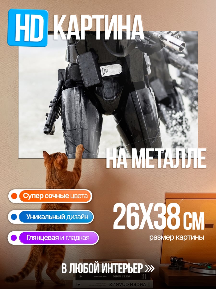 Картина на металле Штурмовик на пляже