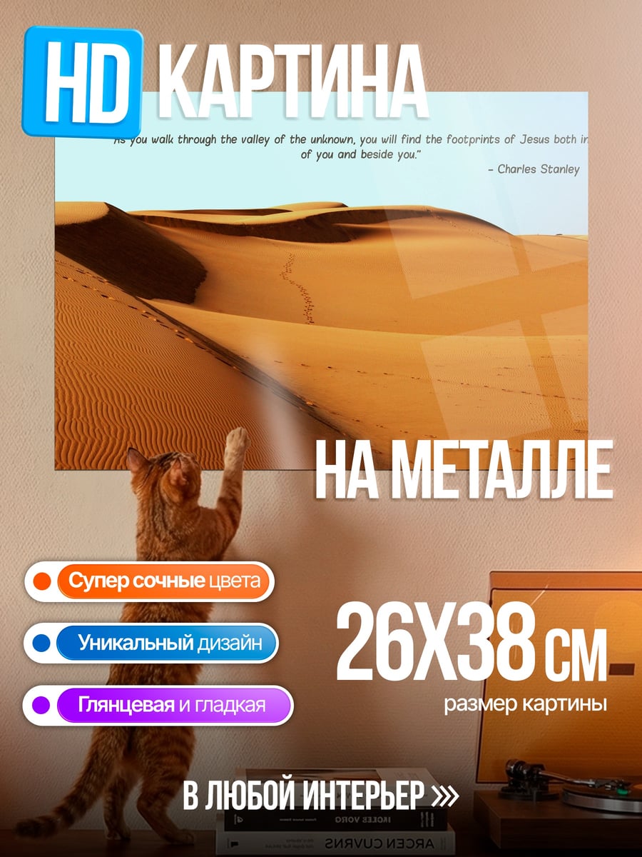 Картина на металле Следы в пустыне