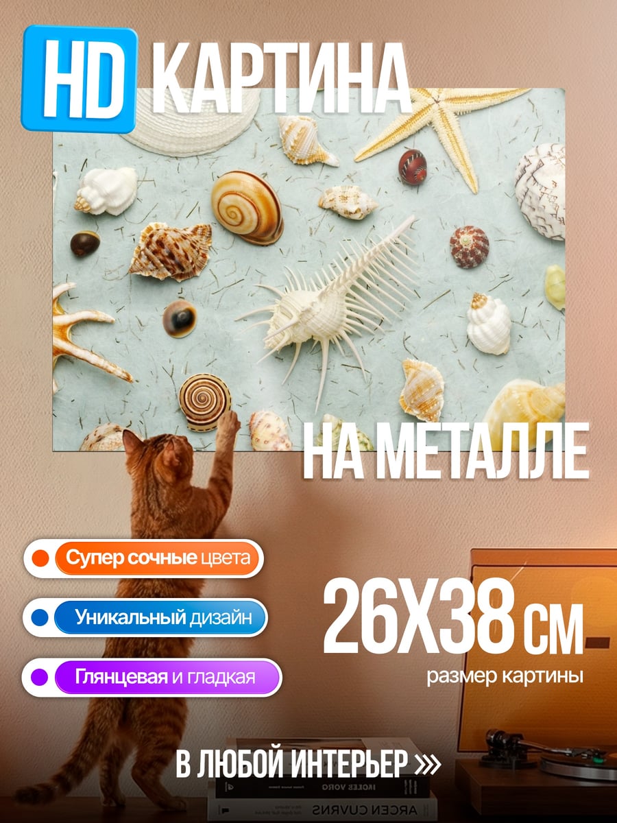 Картина на металле Морские ракушки и звезды