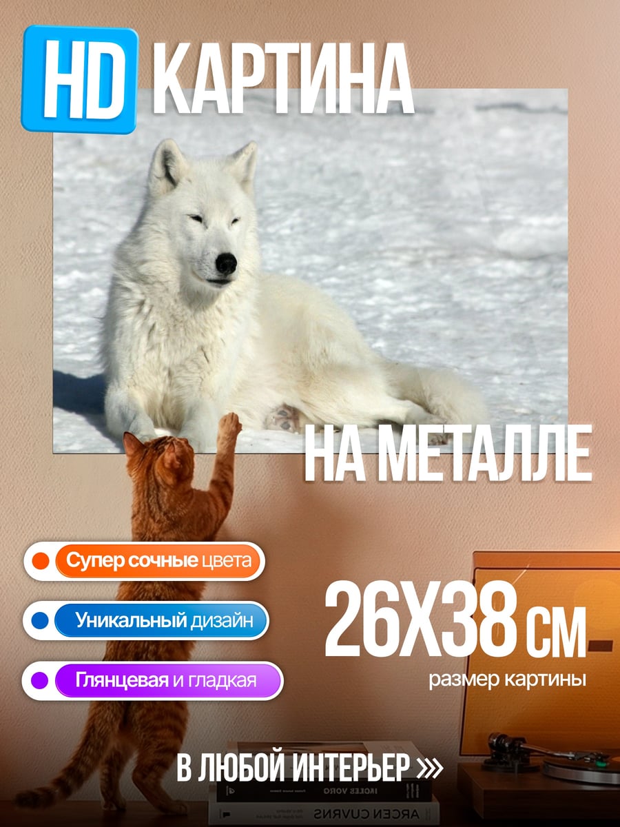 Картина на металле Белый волк снег