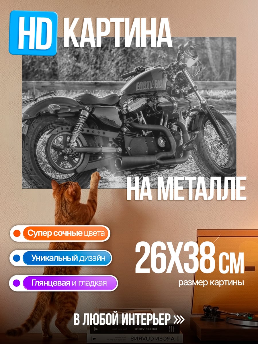 Картина на металле Чёрный мотоцикл