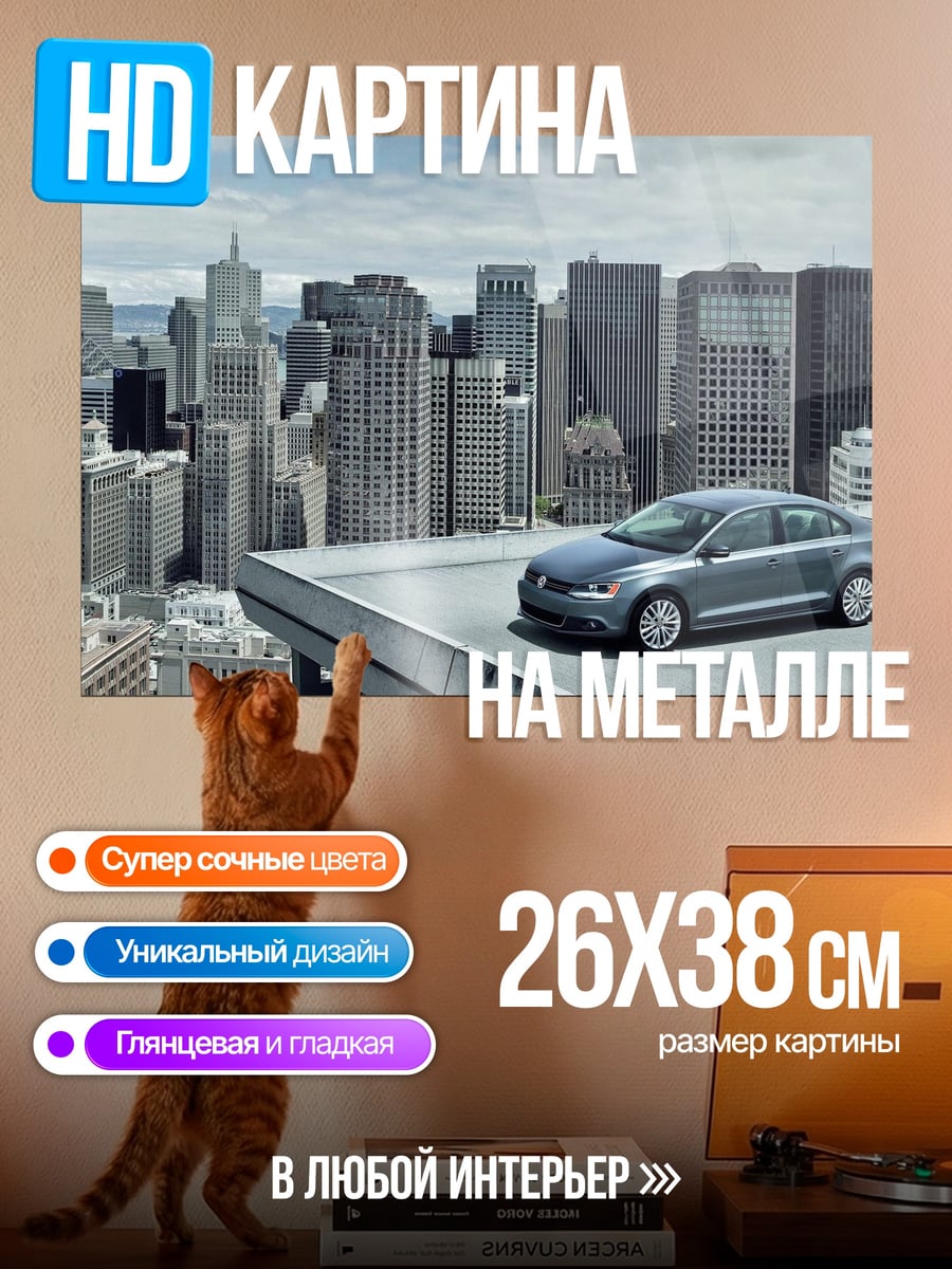 Картина на металле Автомобиль на крыше