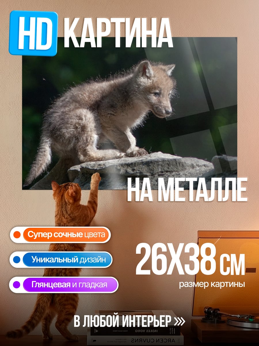 Картина на металле Волчонок на камне